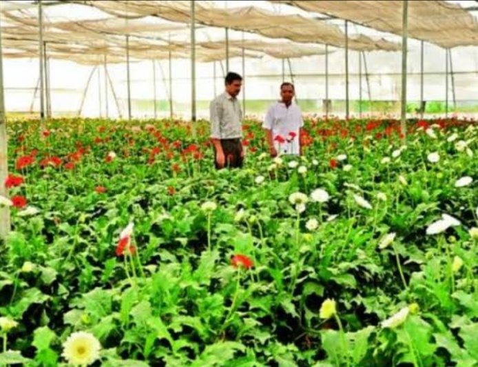 बागवानी क्षेत्र में व्यापक वृद्धि के लिए राष्ट्रीय बागवानी मिशन