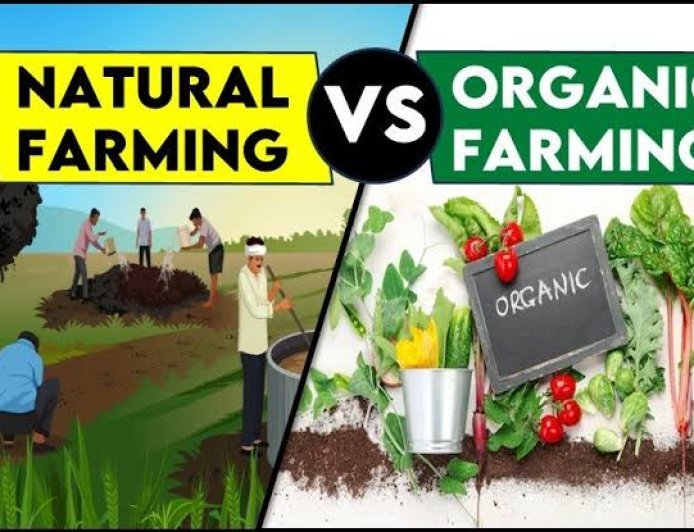 जैविक और प्राकृतिक खेती के महत्व