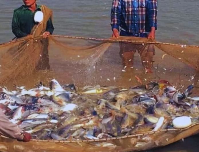 मत्स्य योजना में आजमाई किस्मत, आज कमा रहे लाखों रुपए