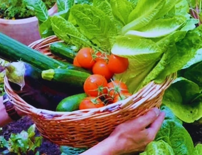 Mansoon Corp : मानसून में उगाई जाने वाली कई फसलों से मिल सकता है अच्छा मुनाफा