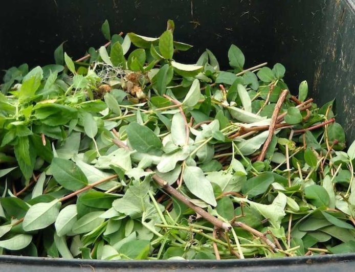 खेती से निकला कचरा बनेगा उपयोगी, तैयार होगी यह वस्तु