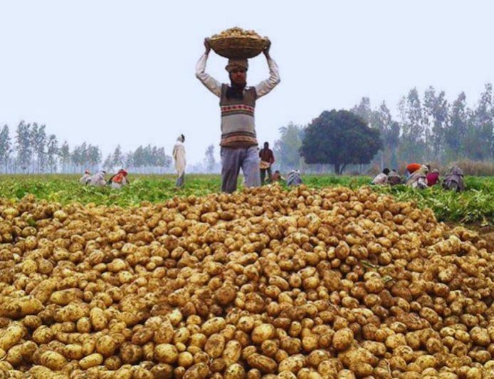 इस वीडियो की डिटेल खोजों