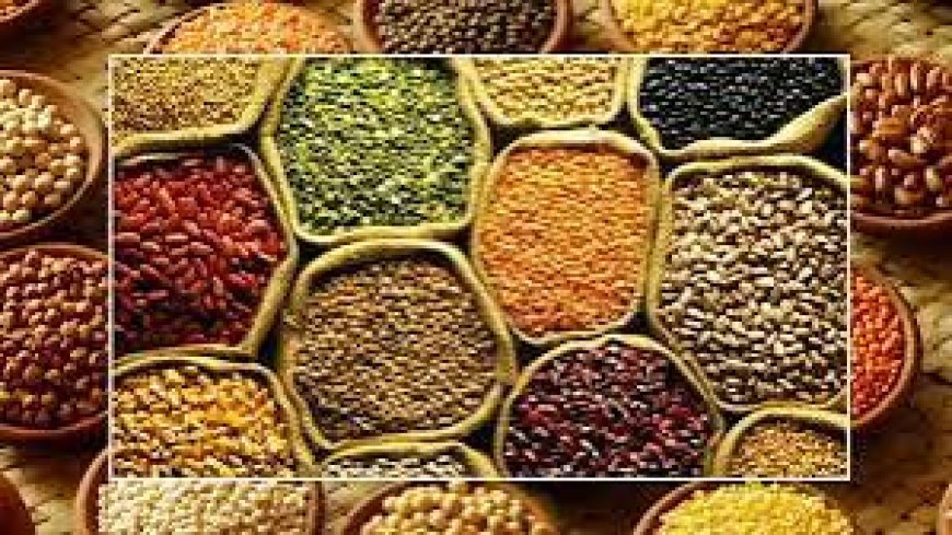 Indian Pulses Production: अधिक पैदावार  वाले संकर बीजों, मशीनीकरण और MSP से 80 लाख टन पहुंच सकता है दलहन उत्पादन