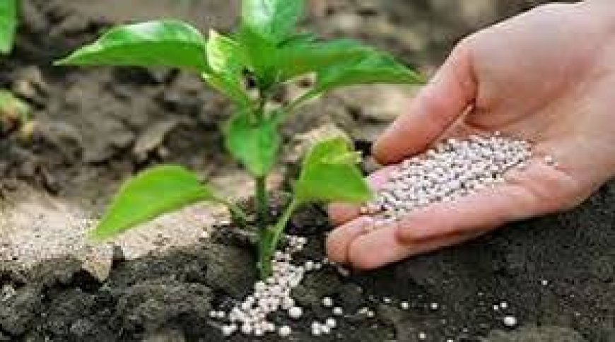 सल्फर का महत्व और उसके प्रभाव