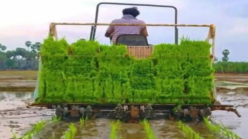 एक घंटे में लगेगी धान, किसानों को मिलेगा अनुदान
