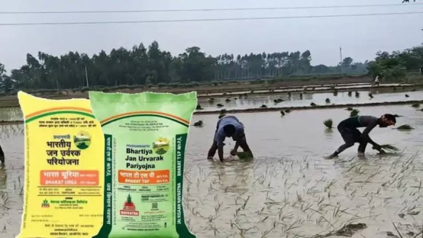 टीएसपी खाद के छिड़काव से फसलों को मिलेगा लाभ