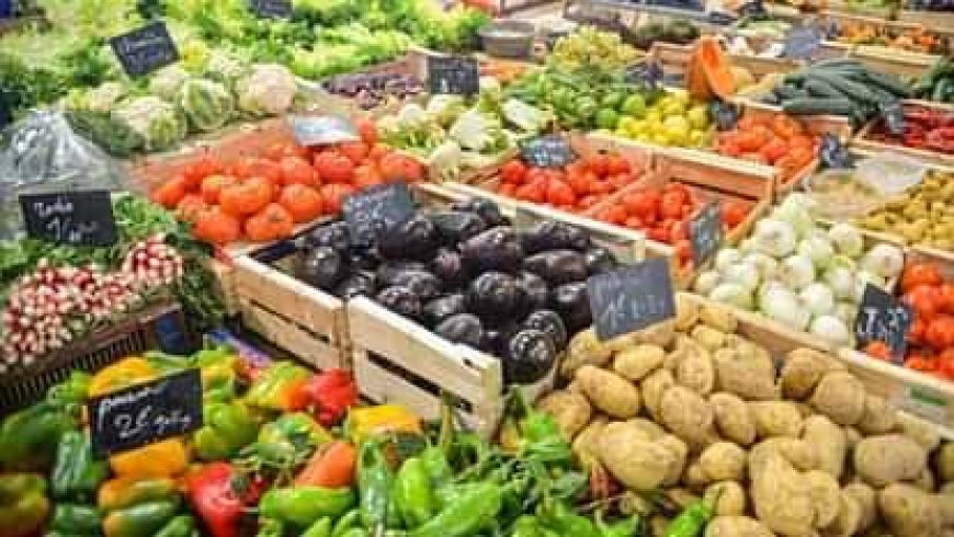 वैज्ञानिक खेती से उगाएं सब्जी, पाएं दोगुना लाभ