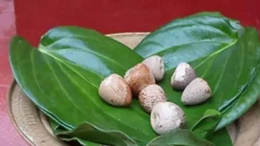 बांग्लादेश और म्यांमार से बढ़ा भारत को सुपारी निर्यात
