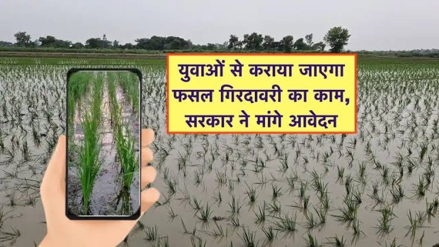 अब युवा करेंगे फसल गिरदावरी का काम, मांगे गए आवेदन
