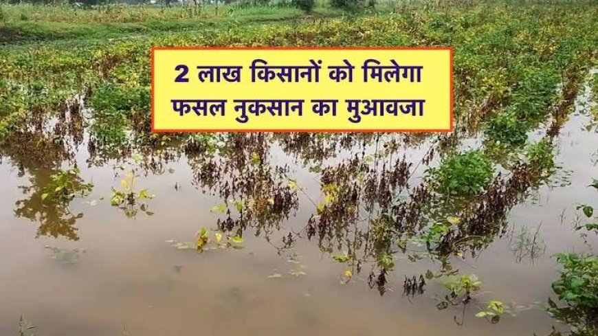 दो लाख किसानों को मिलेगा फसल बीमा राशि का भुगतान