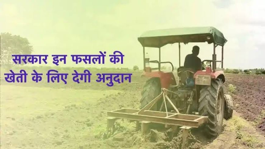 सरकार किसानों को इन फसलों की खेती के लिए देगी अनुदान