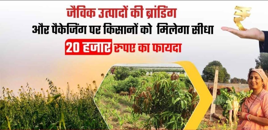प्राकृतिक और जैविक मंडी की होगी स्थापना, किसानों को मिलेंगे 20 हजार रुपए