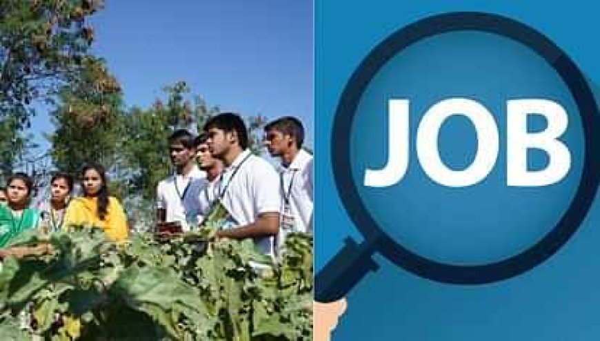 कृषि को आकर्षक बना रही सरकार, करियर के लिए युवाओं के पास बढ़िया विकल्प