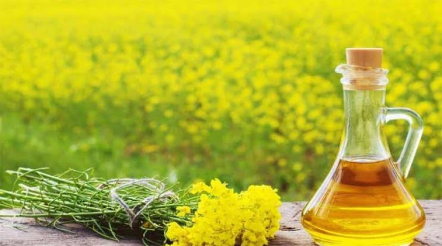 तिलहनी बीज उत्पादन में आत्मनिर्भरता के लिए सरकार ने उठाए  कदम