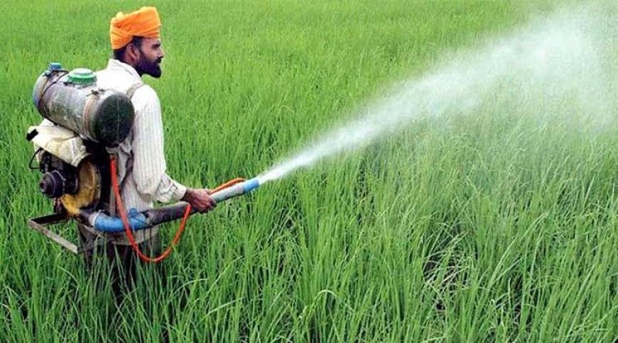 कीट नियंत्रण के लिए किसान फसलों पर करें इनका छिड़काव