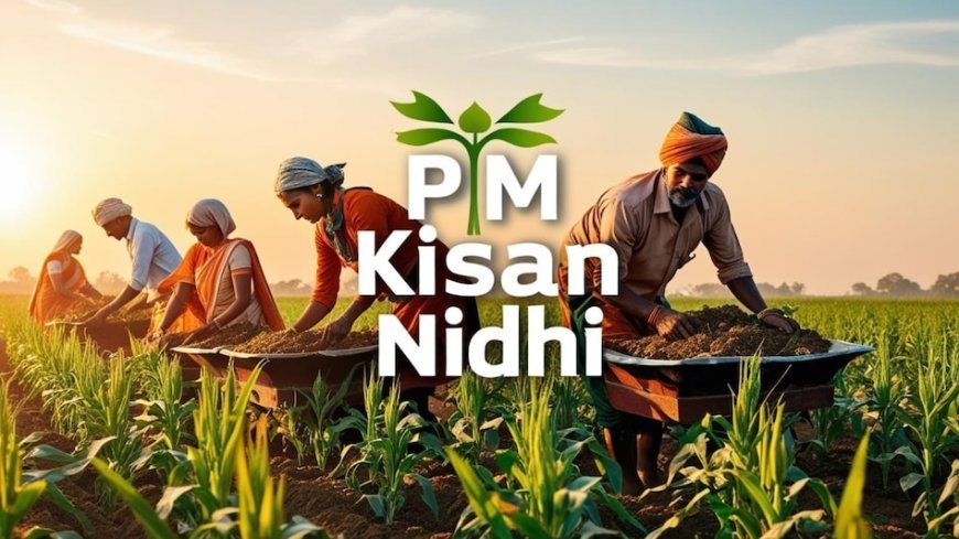 PM Kisan Samman: सम्मान निधि से लाभान्वित हुए 9.7 करोड़ किसान