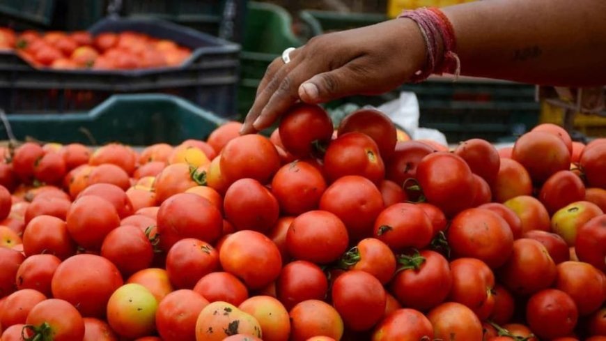 जलभराव के कारण प्रभावित हुई सब्जी की फसल, किसान हो रहे परेशान