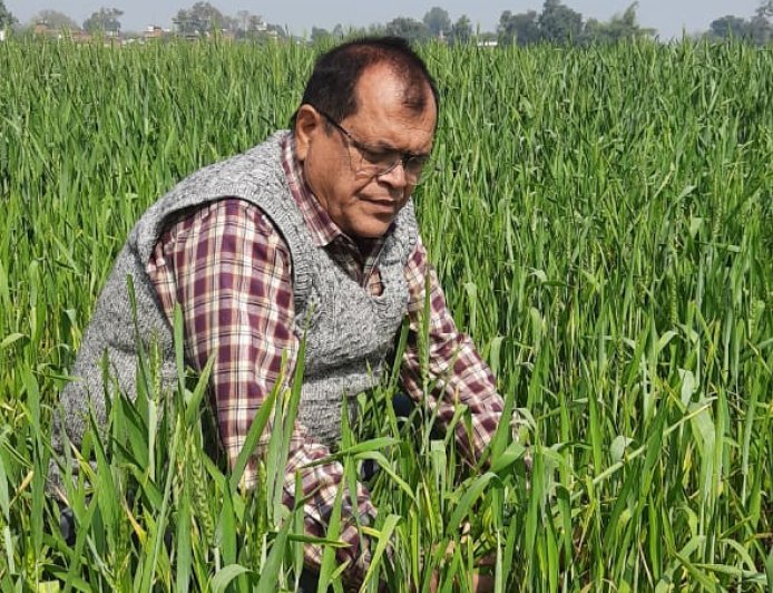 गेहूँ की बुआई का  सही समय नवम्बर माहः प्रो. रवि प्रकाश