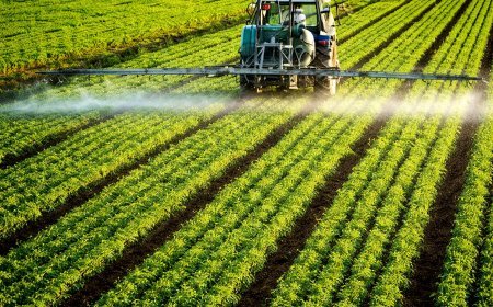 Raised Bed Planter से मक्के की बुआई बनी किसानों के लिए वरदान, बारिश में भी फसल सुरक्षित