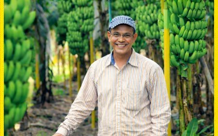 सफलता की कहानी: जुनून और संघर्ष से किसानों के लिए प्रेरणा बने पद्मश्री रामसरण वर्मा