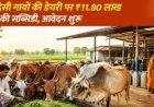 मिनी नंदिनी योजना 2026: 10 देसी गायों की डेयरी पर ₹11.80 लाख तक की सब्सिडी, जानें पात्रता, आवेदन प्रक्रिया और अंतिम तिथि