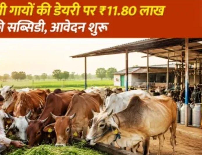 मिनी नंदिनी योजना 2026: 10 देसी गायों की डेयरी पर ₹11.80 लाख तक की सब्सिडी, जानें पात्रता, आवेदन प्रक्रिया और अंतिम तिथि