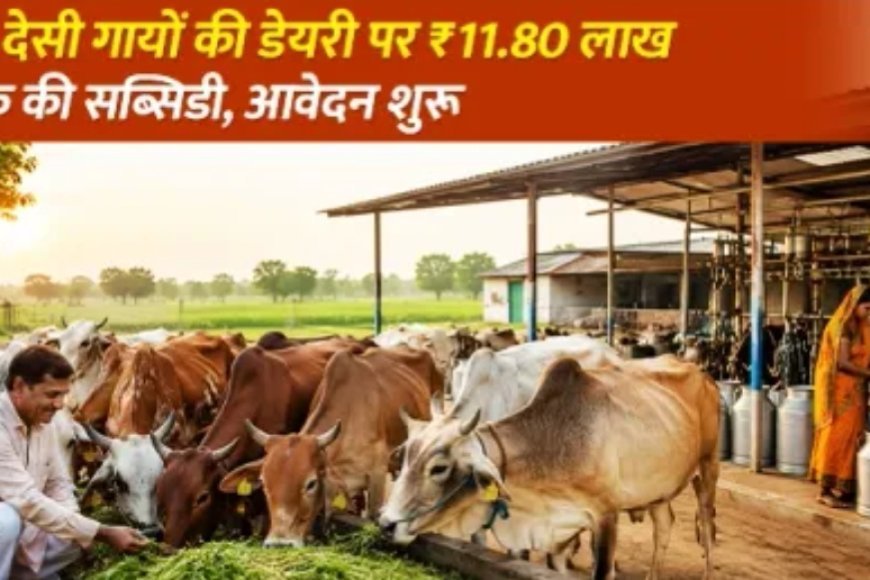 मिनी नंदिनी योजना 2026: 10 देसी गायों की डेयरी पर ₹11.80 लाख तक की सब्सिडी, जानें पात्रता, आवेदन प्रक्रिया और अंतिम तिथि