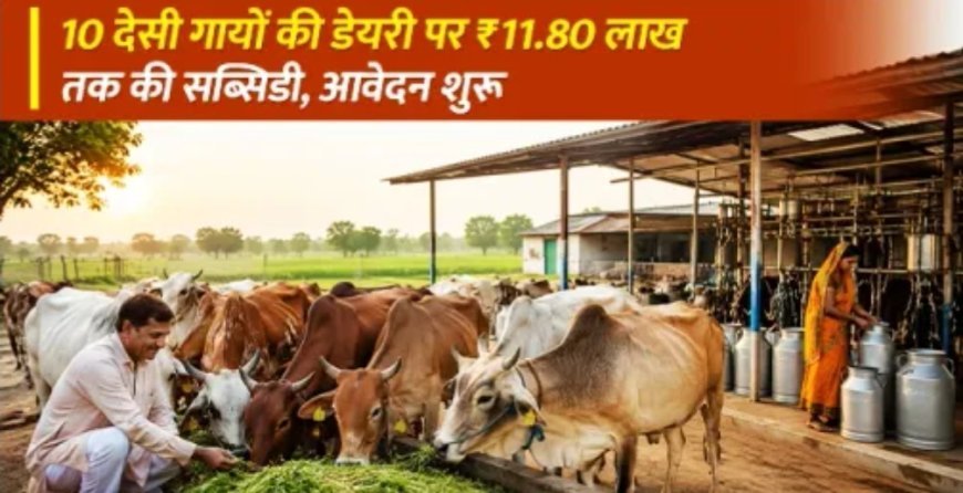 मिनी नंदिनी योजना 2026: 10 देसी गायों की डेयरी पर ₹11.80 लाख तक की सब्सिडी, जानें पात्रता, आवेदन प्रक्रिया और अंतिम तिथि
