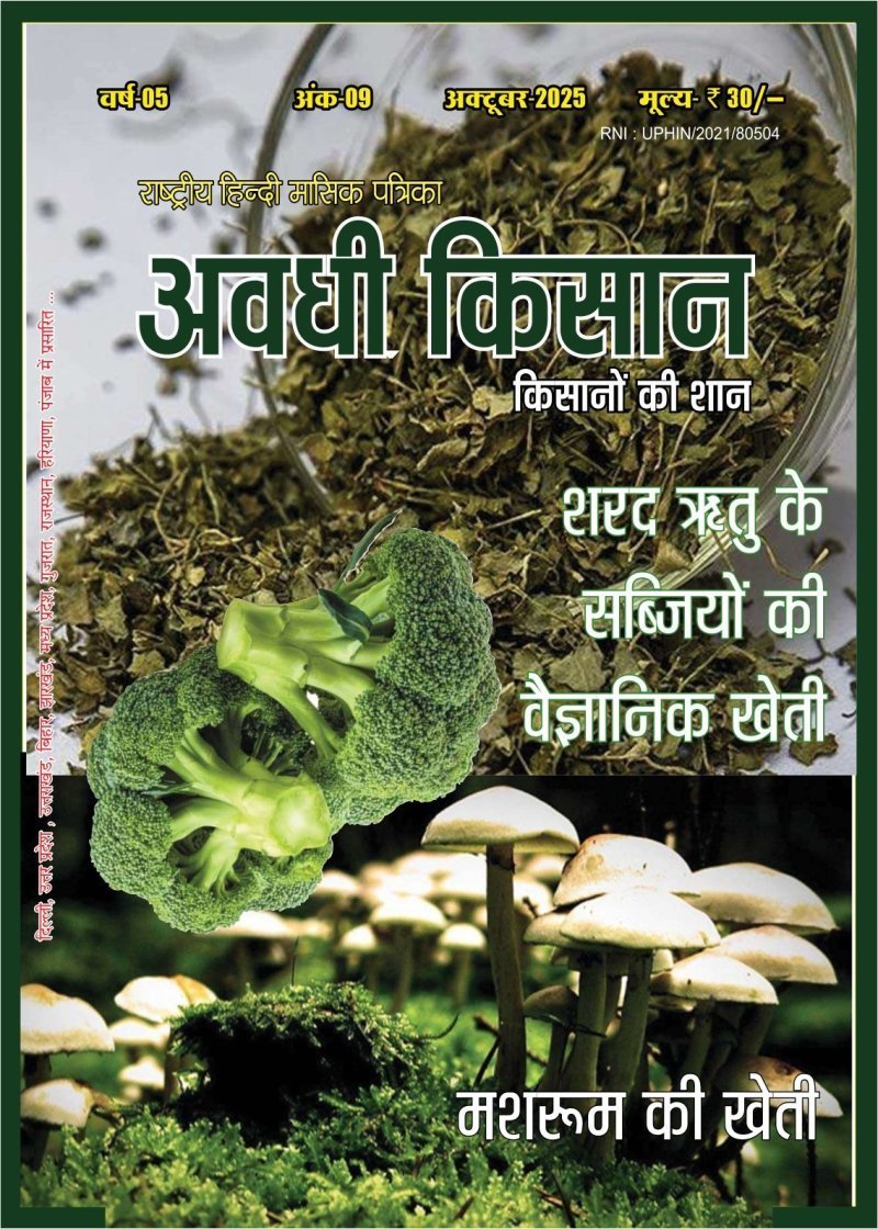 अवधी किसान - December 2025